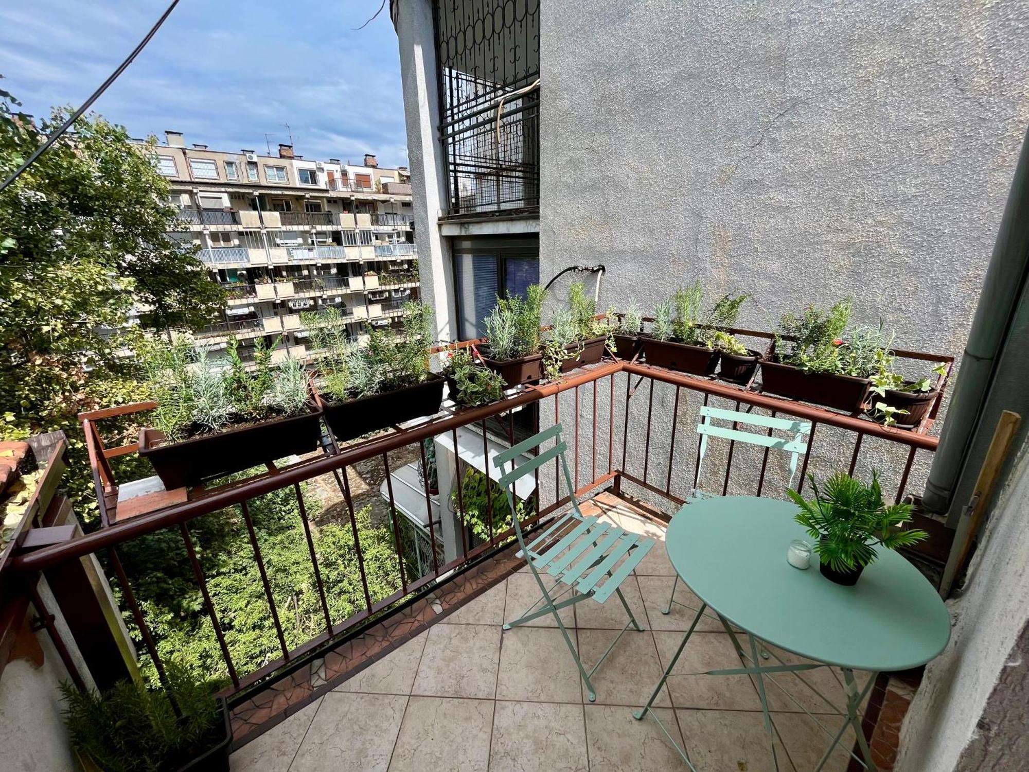 Urban Oasis Lejlighed Beograd Eksteriør billede